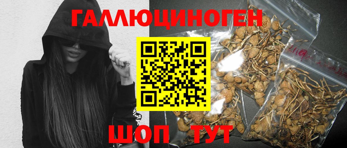 Псилоцибиновые грибы GOLDEN TEACHER  Вход с VPN  Галлюциногенные грибы MAGIC MUSHROOMS  Ливны 